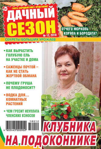 . Дачный сезон №12/2018