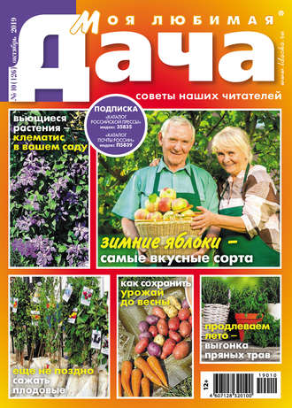 . Моя любимая дача №10/2019