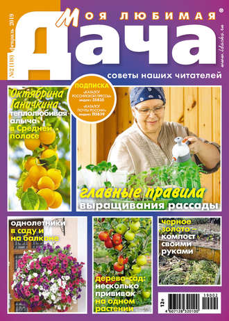 . Моя любимая дача №02/2019