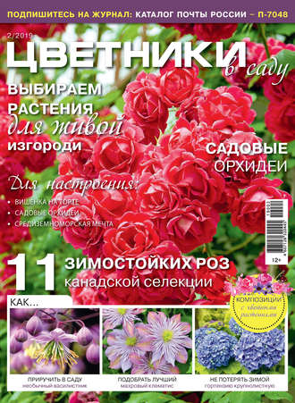 . Цветники в саду №02/2019