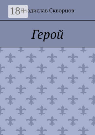 Владислав Денисович Скворцов. Герой