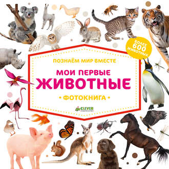 . Мои первые животные