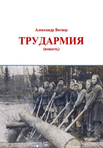 Александр Александрович Вегнер. Трудармия