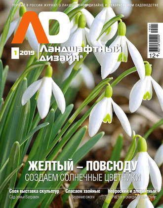 . Ландшафтный дизайн №01/2019