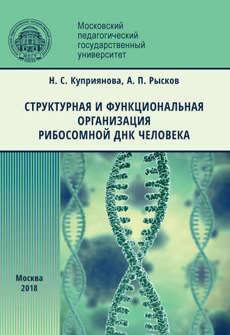 А. П. Рысков. Структурная и функциональная организация рибосомной ДНК человека