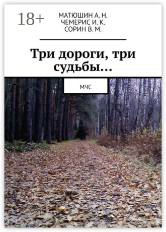 . Три дороги, три судьбы… МЧС