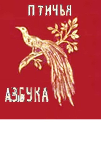 Вера Сергеевна Денисова. Птичья азбука. Раскраска-билингва