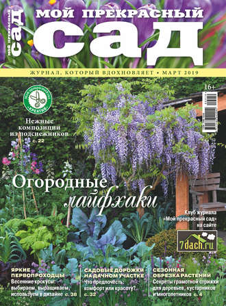 . Мой прекрасный сад №03/2019