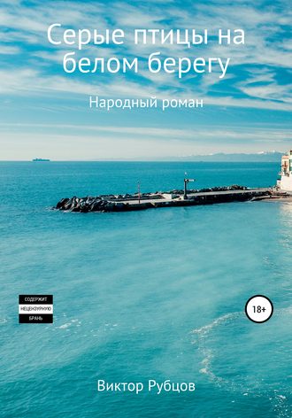 Виктор Николаевич Рубцов. Серые птицы на белом берегу. Народный роман