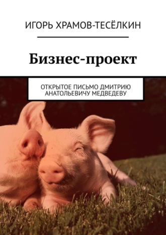 Игорь Храмов-Тесёлкин. Бизнес-проект. Открытое письмо Дмитрию Анатольевичу Медведеву