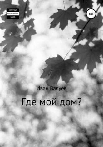 Иван Александрович Валуев. Где мой дом?