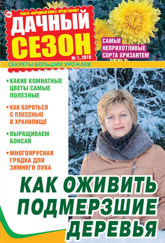 . Дачный сезон №01/2019