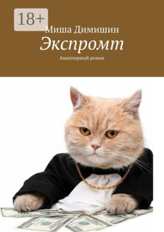 Миша Димишин. Экспромт. Авантюрный роман