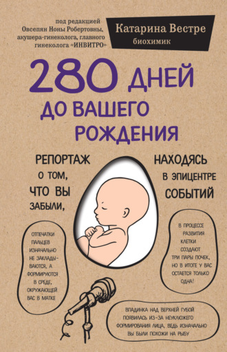 . 280 дней до вашего рождения. Репортаж о том, что вы забыли, находясь в эпицентре событий