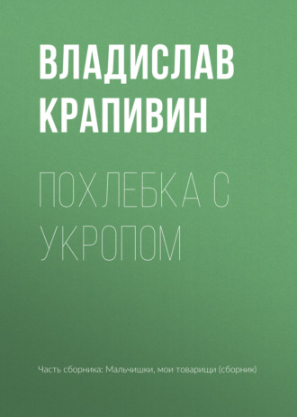 Владислав Крапивин. Похлебка с укропом