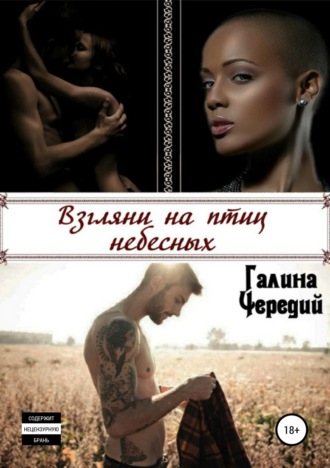 . Взгляни на птиц небесных