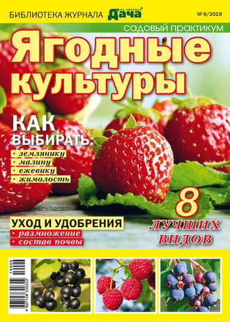 . Библиотека журнала «Моя любимая дача» №06/2019. Садовый практикум. Ягодные культуры