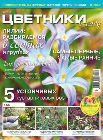 . Цветники в саду №03/2019