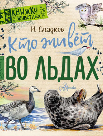 . Кто живёт во льдах. Рассказы
