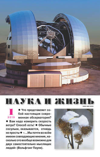 . Наука и жизнь №01/2019