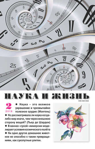 . Наука и жизнь №02/2019
