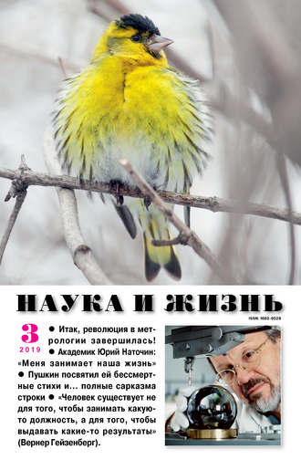 . Наука и жизнь №03/2019