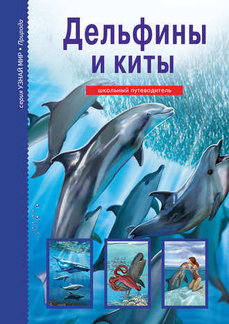 . Дельфины и киты