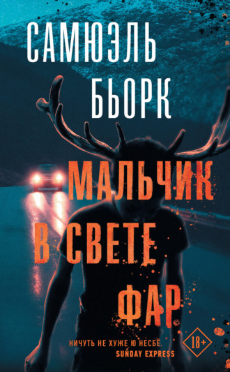 . Мальчик в свете фар
