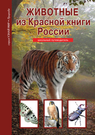 . Животные из Красной книги России