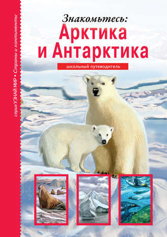 . Знакомьтесь: Арктика и Антарктика
