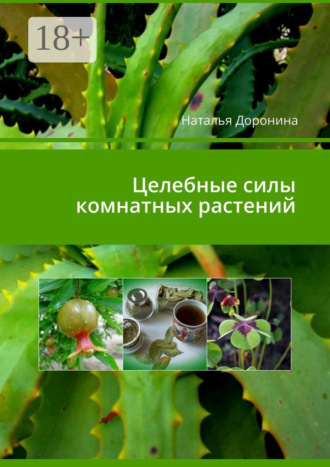 Наталья Доронина. Целебные силы комнатных растений