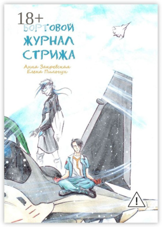 . Бортовой журнал Стрижа