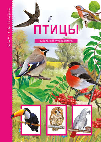 . Птицы