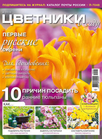 . Цветники в саду №04/2019