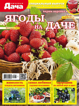 . Любимая дача. Спецвыпуск №04/2019. Ягоды на даче