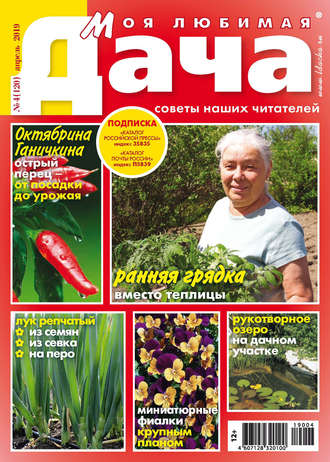 . Моя любимая дача №04/2019