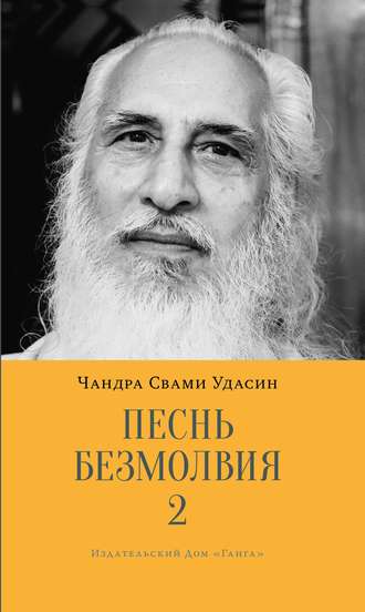 . Песнь безмолвия. Книга 2