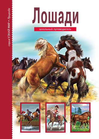 . Лошади