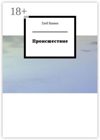 . Происшествие