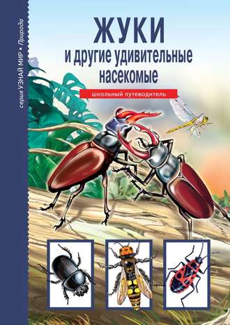 . Жуки и другие удивительные насекомые
