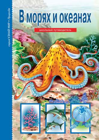 . В морях и океанах