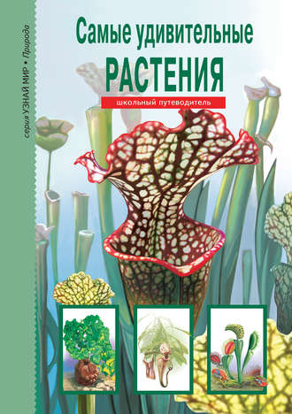 . Самые удивительные растения