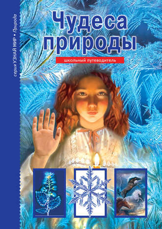. Чудеса природы
