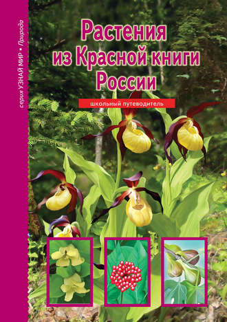 . Растения из Красной книги России