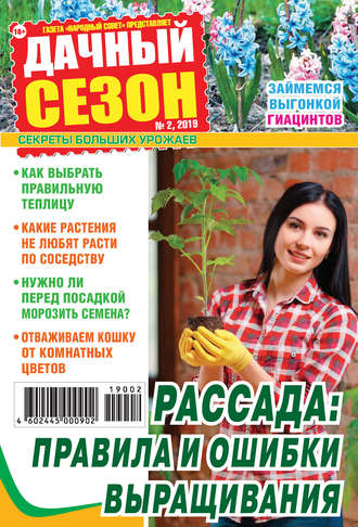 . Дачный сезон №02/2019