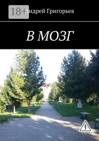 Андрей Григорьев. В мозг