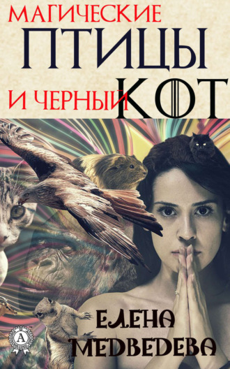 . Магические птицы и чёрный кот