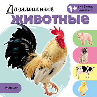 . Домашние животные
