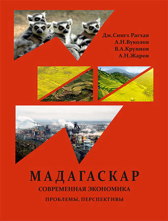 . Республика Мадагаскар. Современная экономика (проблемы, перспективы)