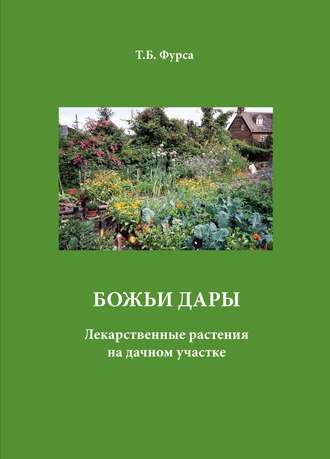Татьяна Фурса. Божьи дары. Лекарственные растения на дачном участке